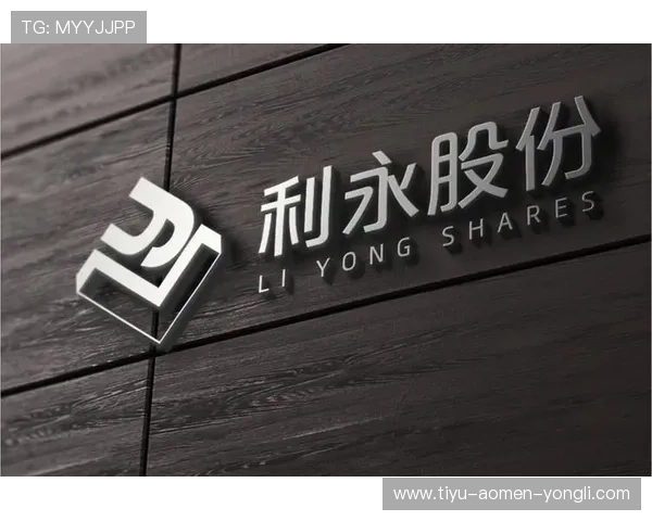 永利股份的风险控制体系与财务稳健性分析