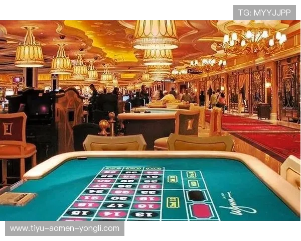 澳门哪个赌场比较好，豪华环境与高端服务的最佳选择指南